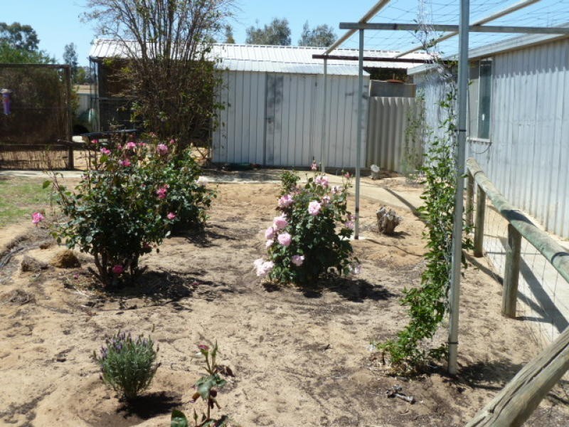 17 Ashton Street, Quairading WA 6383