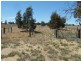 17 Ashton Street, Quairading WA 6383