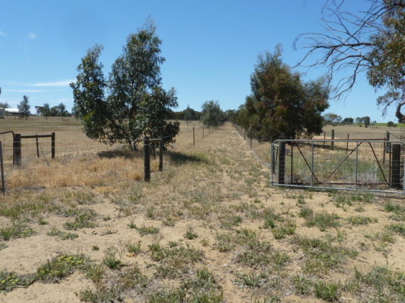 17 Ashton Street, Quairading WA 6383