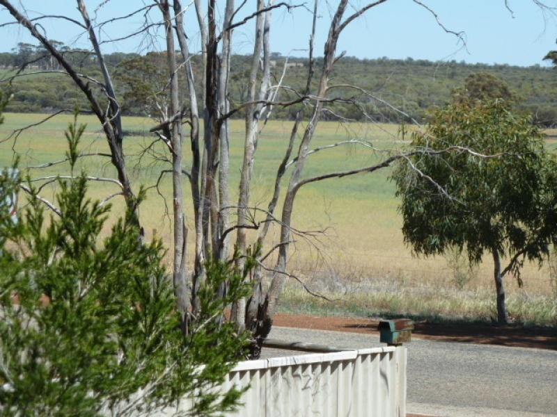 17 Ashton Street, Quairading WA 6383
