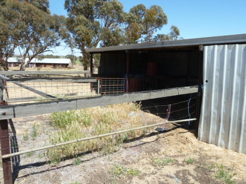 17 Ashton Street, Quairading WA 6383