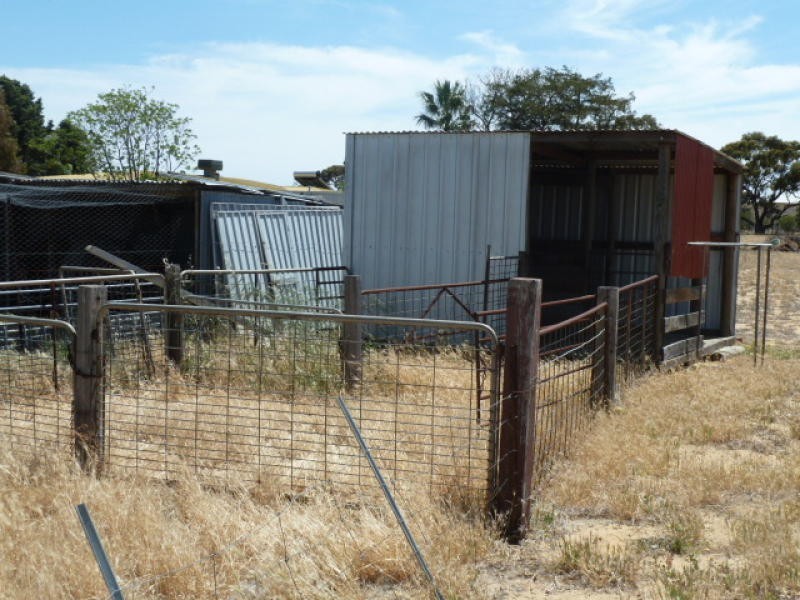 17 Ashton Street, Quairading WA 6383