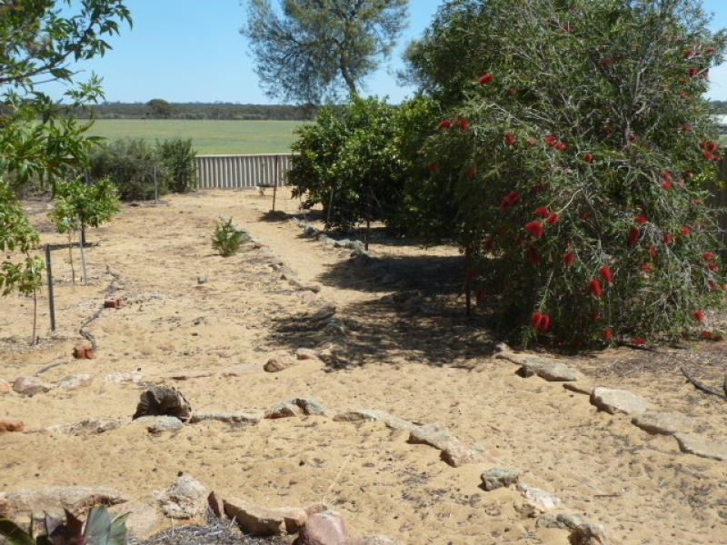 17 Ashton Street, Quairading WA 6383
