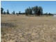 17 Ashton Street, Quairading WA 6383
