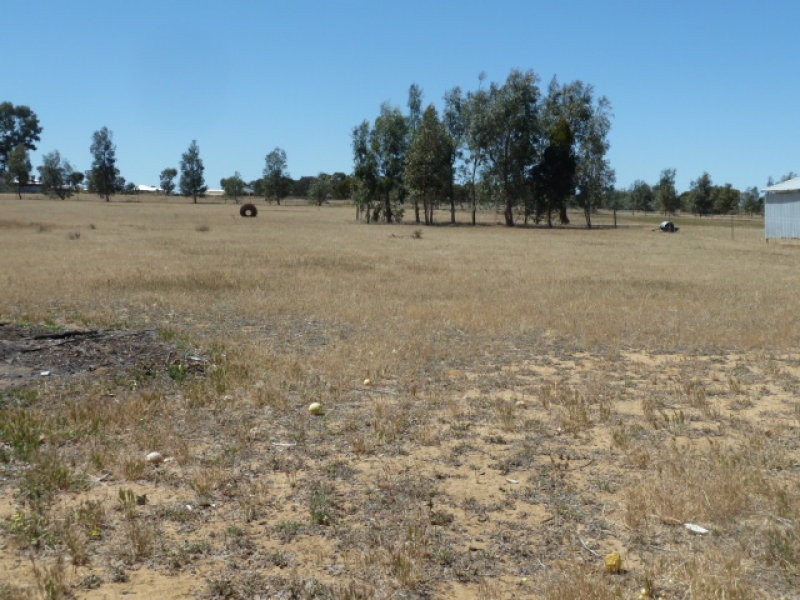 17 Ashton Street, Quairading WA 6383