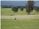 ‘Lauriedale’ Roundpool Road, Kojonup WA 6395