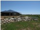 44 Matthew Road, Youngs Siding WA 6330