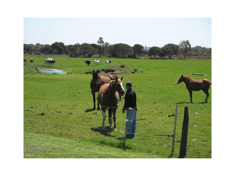 44 Matthew Road, Youngs Siding WA 6330