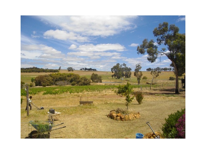 983 Codjatotine-Hastings Road, Hastings WA 6308