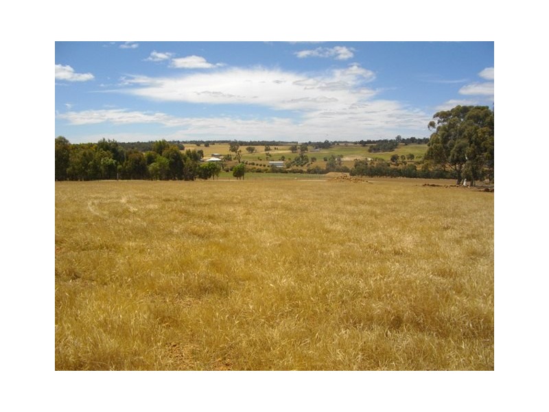 983 Codjatotine-Hastings Road, Hastings WA 6308