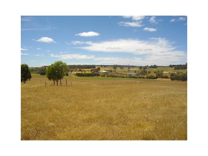 983 Codjatotine-Hastings Road, Hastings WA 6308