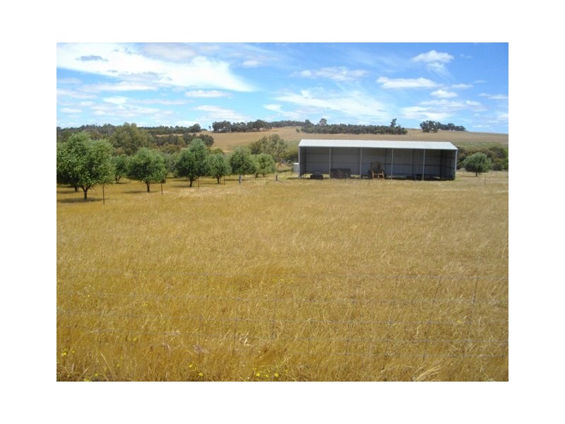 983 Codjatotine-Hastings Road, Hastings WA 6308