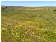 Badgingarra WA 6521