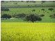 Badgingarra WA 6521