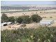 Badgingarra WA 6521