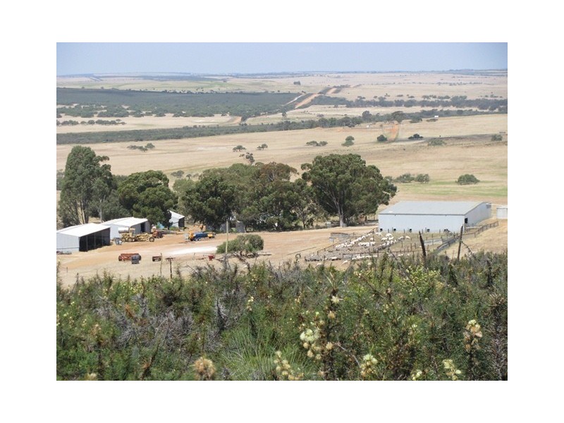 Badgingarra WA 6521