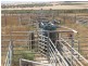 Badgingarra WA 6521