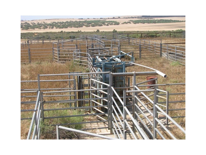 Badgingarra WA 6521