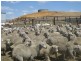 Badgingarra WA 6521