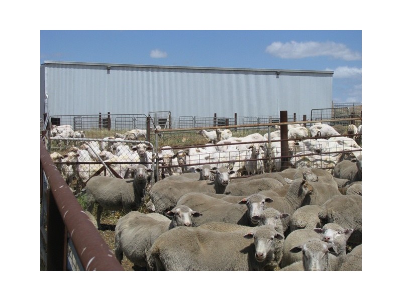 Badgingarra WA 6521