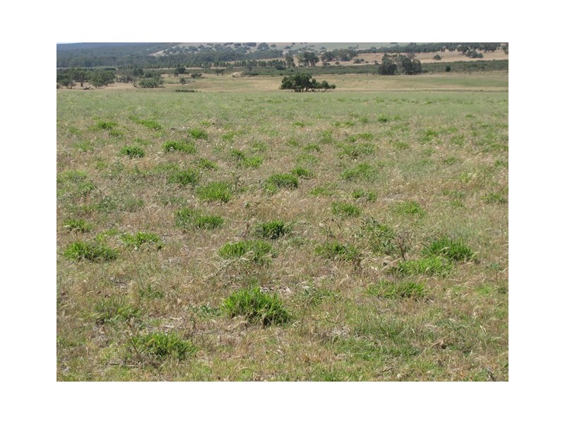 Badgingarra WA 6521