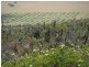 Badgingarra WA 6521