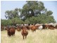 Badgingarra WA 6521