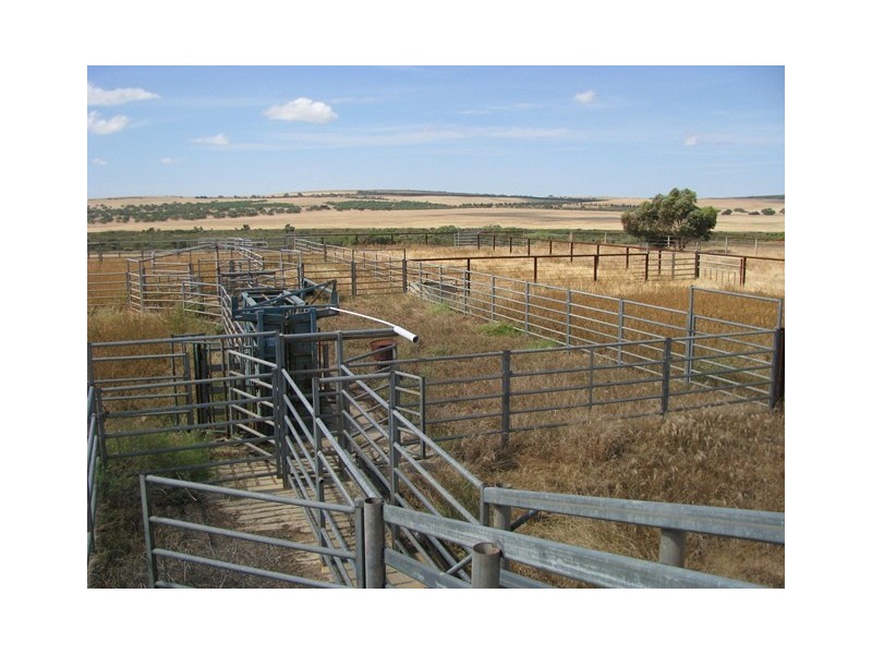 Badgingarra WA 6521