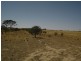Lot 126 Hughes Road, Merredin WA 6415