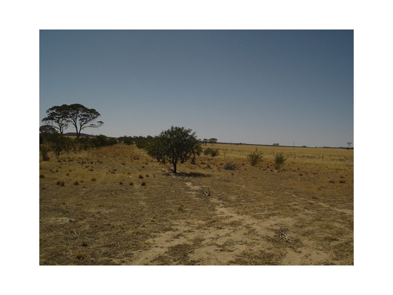 Lot 126 Hughes Road, Merredin WA 6415