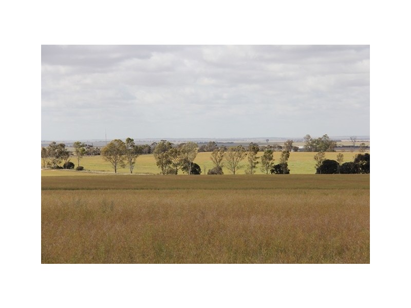 ‘Pinegrove’ 638 Ballidu South East Road, Ballidu WA 6606