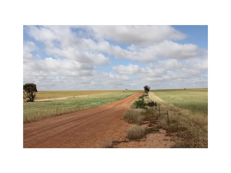 ‘Pinegrove’ 638 Ballidu South East Road, Ballidu WA 6606