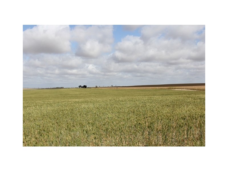 ‘Pinegrove’ 638 Ballidu South East Road, Ballidu WA 6606