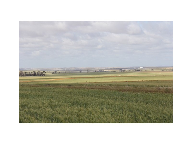 ‘Pinegrove’ 638 Ballidu South East Road, Ballidu WA 6606