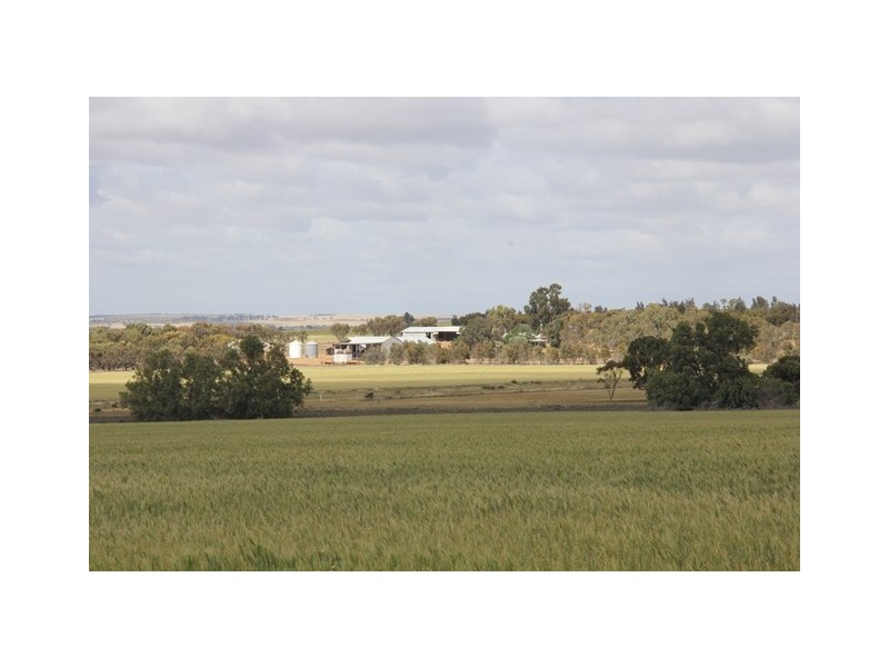 ‘Pinegrove’ 638 Ballidu South East Road, Ballidu WA 6606