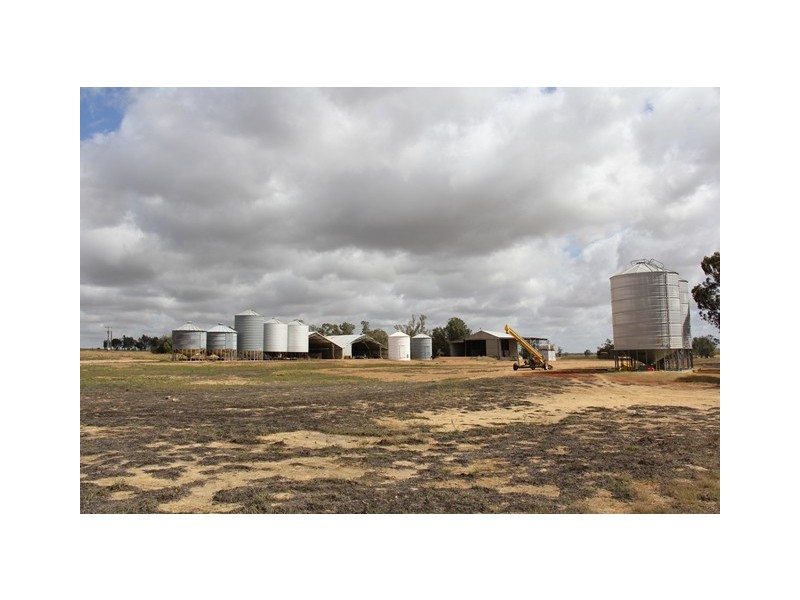 ‘Pinegrove’ 638 Ballidu South East Road, Ballidu WA 6606