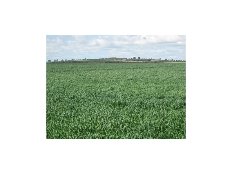 Lot 143 Backmans Road, Neridup WA 6450