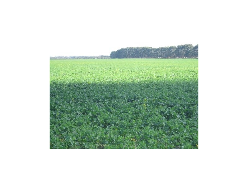 Lot 143 Backmans Road, Neridup WA 6450