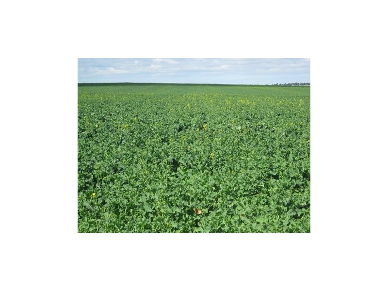 Lot 143 Backmans Road, Neridup WA 6450