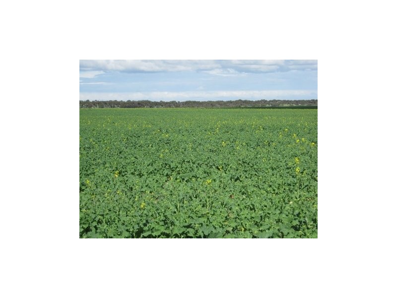 Lot 143 Backmans Road, Neridup WA 6450