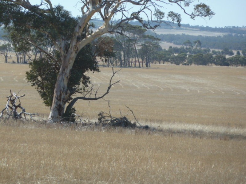 Lot 1 Fisher Road, Beverley WA 6304