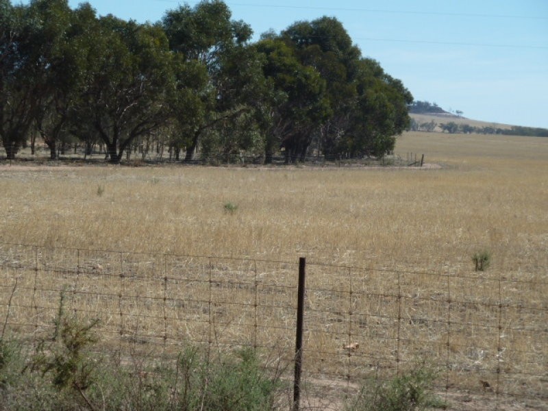 Lot 1 Fisher Road, Beverley WA 6304