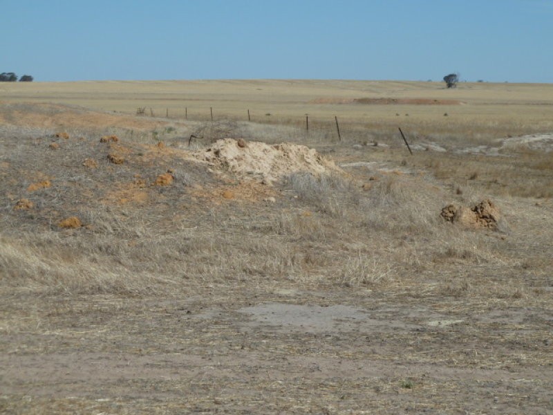 Lot 1 Fisher Road, Beverley WA 6304