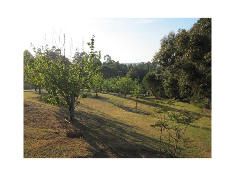 Lot 5 Blackwood Park Road, Bridgetown WA 6255