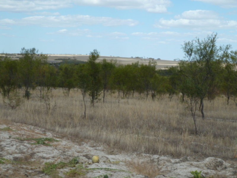 Lot 23435 Athol Road, Beverley WA 6304