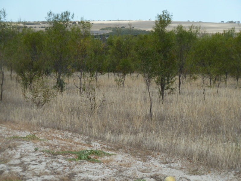 Lot 23435 Athol Road, Beverley WA 6304