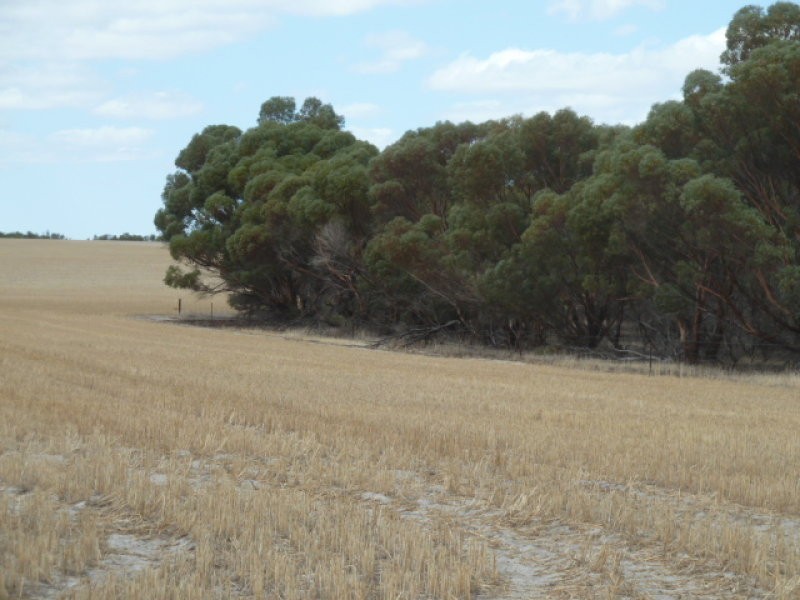 Lot 23435 Athol Road, Beverley WA 6304