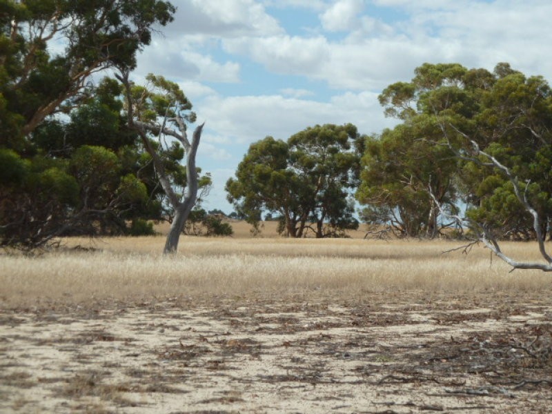 Lot 23435 Athol Road, Beverley WA 6304