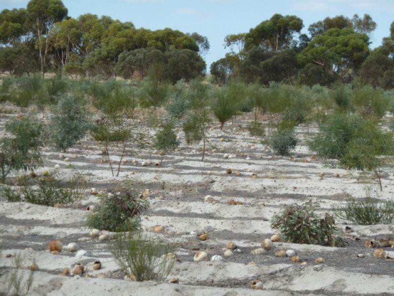 Lot 23435 Athol Road, Beverley WA 6304