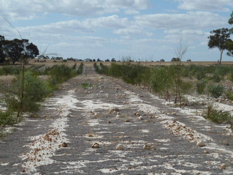 Lot 23435 Athol Road, Beverley WA 6304